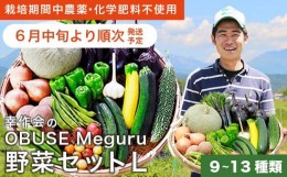 【ふるさと納税】 ［栽培期間中農薬・化学肥料不使用］OBUSE Meguru 野菜セット L 9〜13種類 ［新規就農者応援コース 幸作会］野菜 詰め