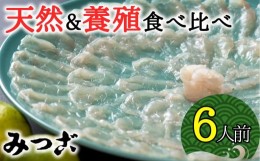 【ふるさと納税】贅沢な食べ比べ！みつごの天然＆養殖とらふぐセット（計6人前）［養殖＆天然とらふぐ各1セット］