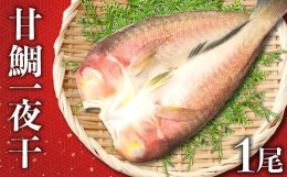 【ふるさと納税】「一日漁」甘鯛一夜干【干物 甘鯛 1尾 約27cm 約300g 国産 魚介類 魚 あまだい 一夜干 一日漁 無添加 天日塩 特産品 お