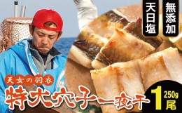 【ふるさと納税】特大 あなご一夜干し 1尾  250g 「天女の羽衣」【250g 穴子干物 魚介類 魚 穴子 アナゴ 干物 特大 50cm 無添加 天日塩 