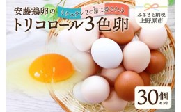 【ふるさと納税】【山梨県産 卵】ミシュランも選ぶ高級卵セット（30個）