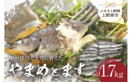 【ふるさと納税】【一級河川(魚)】甲州桂川のやまめ(約1kg)とます(約700g)高級セット 各1箱