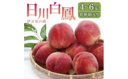 【ふるさと納税】【先行予約】伊万里の桃「日川白鳳」化粧箱入り（4〜6玉） B065