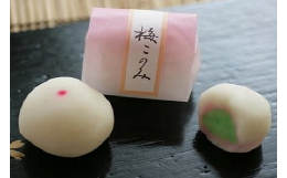 【ふるさと納税】四街道銘菓詰め合わせ / 和菓子 お菓子 栗羊羹 ようかん 饅頭 焼菓子 セット ギフト 家庭用