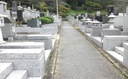 【ふるさと納税】[?5904-0154]ふるさと成田市のお墓清掃サービス