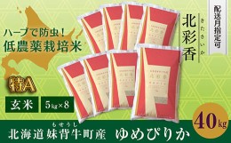 【ふるさと納税】B040 令和６年産 妹背牛産新米【北彩香（ゆめぴりか）】玄米40kg〈一括〉10月発送