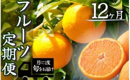 【ふるさと納税】湯の花 みかんメインで贈るフルーツ12回の定期便　【みかん 果物 フルーツ 旬 柑橘 甘い 新鮮 定期便】