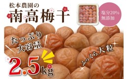 【ふるさと納税】大粒無添加南高梅2.5キロ 梅干し 梅干 大粒 無添加 2.5kg 松本農園 昔ながらの 大容量 三重県 御浜町 