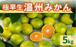 【ふるさと納税】JAの南紀みかん極早生5キロ 果物 フルーツ みかん 極早生みかん 温州みかん 5kg 三重県 御浜町 