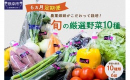 【ふるさと納税】農業姉妹がこだわって栽培！旬の厳選野菜10種 半年定期便【024A-008】