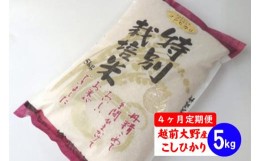 【ふるさと納税】【令和5年産】【4ヶ月定期便】福井県認証の特別栽培米 コシヒカリ 5kg×4回