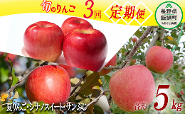 【ふるさと納税】旬のりんご 3種 《 定期便 》 5kg × 3回 Cコース 沖縄県への配送不可 2024年9月上旬頃から2024年12月下旬頃まで順次発