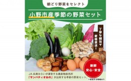【ふるさと納税】小野市産季節の野菜セット！
