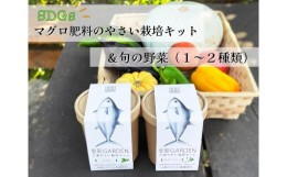 【ふるさと納税】B15-010 食彩GARDEN三浦やさい栽培キット＆旬野菜