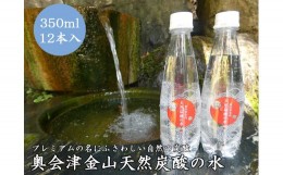 【ふるさと納税】奥会津金山天然炭酸の水（350mlペットボトル）12本