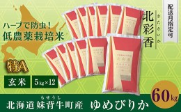 【ふるさと納税】B060 令和６年産 妹背牛産新米【北彩香（ゆめぴりか）】玄米60kg〈一括〉10月発送