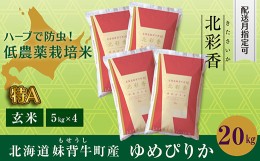 【ふるさと納税】B020 令和６年産 妹背牛産新米【北彩香（ゆめぴりか）】玄米20kg〈一括〉10月発送