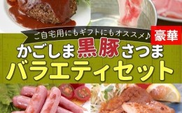 【ふるさと納税】052-14 かごしま黒豚さつま豪華バラエティセット