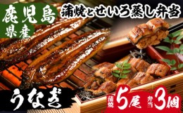 【ふるさと納税】国産 鹿児島県産 うなぎ 蒲焼 大 5尾 約800g ＋ うなぎ せいろ蒸し弁当(280g×3個) 鰻養殖生産量日本一 鹿児島県産新仔