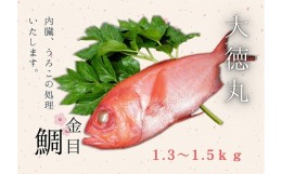 【ふるさと納税】A16-008 脂たっぷり！【三崎水揚げ】金目鯛