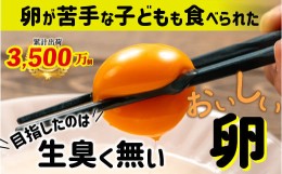 【ふるさと納税】卵が苦手な子どもも食べられた！生臭くないおいしい卵 6個入×5P　Gbn-A03 たまご 玉子 鶏卵 生卵 生たまご