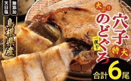 【ふるさと納税】大ぶり「のどぐろ一夜干し」＆特大「穴子一夜干し」【のどぐろ干物 176〜200g×3尾 穴子干物 50cm前後×3尾 のどぐろ ノ