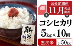 【ふるさと納税】新米先行予約【定期便・11月〜発送】コシヒカリ 無洗米 5kg×10回（計 50kg）中村農研のお米 真空パック[ZE908]