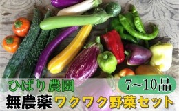 【ふるさと納税】ひばり農園の無農薬ワクワク野菜セット 【289】