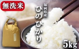 【ふるさと納税】無洗米 5kg 福岡県産 ひのひかり 米