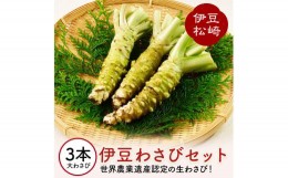 【ふるさと納税】伊豆のわさびセットＦ