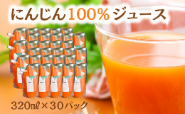 【ふるさと納税】毎日飲める♪30パック【にんじん１００％】さらっと飲みやすい１００％人参ジュース 