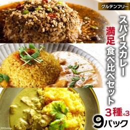 【ふるさと納税】AG028スパイスカレー 満足食べ比べセット 3種類 150g×各3 計9パック