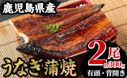 【ふるさと納税】厳選！国産 鹿児島県産 うなぎ蒲焼 2尾 約300g！ 鰻養殖生産量日本一 鹿児島県産新仔うなぎ使用 こだわりの地焼き！ 冷