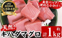 【ふるさと納税】A-1280H 天然キハダマグロ  約1kg【海鮮まぐろ家】いちき串木野市 マグロ 赤身 刺身 冷凍 まぐろ