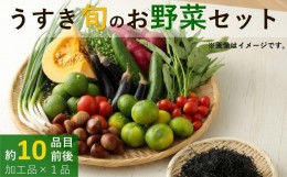 【ふるさと納税】野菜ソムリエがセレクト!「うすき旬のお野菜セット」