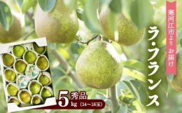 【ふるさと納税】【保護包装品】洋梨「ラ・フランス」5kg（14〜16玉） サイズおまかせ 山形産 【2024年10月末頃〜12月上旬頃】／ お取り