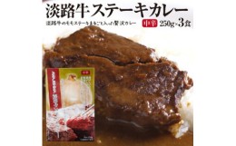 【ふるさと納税】淡路牛ステーキカレー（中辛・250g）×３食セット