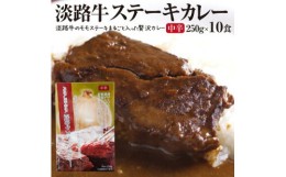 【ふるさと納税】淡路牛ステーキカレー（中辛・250g）×10食セット