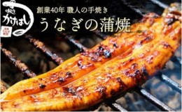 【ふるさと納税】創業40年 全てが職人による手焼き うなぎの蒲焼き 1尾