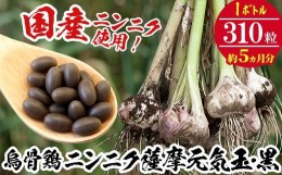 【ふるさと納税】C-81H 薩摩元気玉・黒（においがしないタイプ）約5か月分