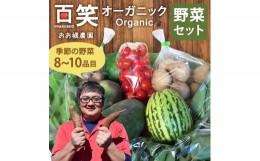 【ふるさと納税】百笑オーガニック野菜セット（8〜10品目）（KAG-1）