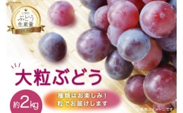 【ふるさと納税】【先行受付】39-3.元気農園『粒』ぶどう 約2kg 山梨県産 ぶどう ※房でのお届けではありません [元気農園 山梨県 韮崎市