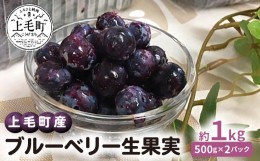 【ふるさと納税】【叶え屋】 上毛町産 ブルーベリー 生果実 500g×2パック　K01401 