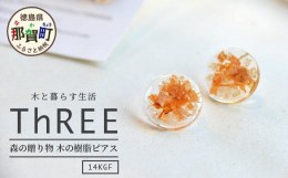 【ふるさと納税】森の贈り物 木の樹脂 ピアス TR-12-2 徳島 那賀 木 樹脂 アクセサリー ピアス ジュエリー シンプル 上品 大人 エレガン