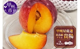 【ふるさと納税】甲州屋厳選 最高級プラム【貴陽】化粧箱入り 約2kg【2024年発送】B15-132