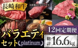 【ふるさと納税】【全12回定期便】長崎和牛 バラエティセット「プラチナ」 総計16.6kg 肉 お肉 牛肉 和牛 ロース ザブトン ヒレ フィレ 