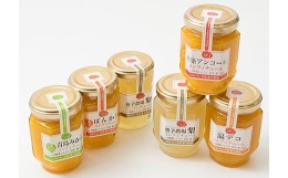 【ふるさと納税】野菜ソムリエ石児さんの季節のおまかせジャムセット（140g×6個）＜103-023_5＞