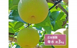【ふるさと納税】幸水 約3kg / 広谷梨園 / 梨 なし 果物