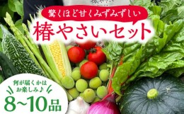 【ふるさと納税】何が届くかはお楽しみ 椿やさいの野菜セット(8-10品)詰合せ 五島市/いきいきファーム [PCY001]