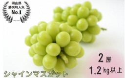 【ふるさと納税】岡山県産 シャインマスカット 1.2kg以上 （2房）_【9月中旬から10月中旬発送】_A11